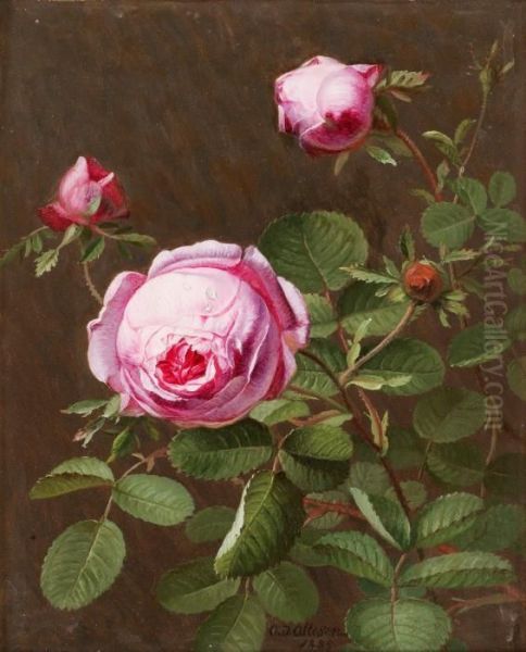 Still Life With Pink Roses Oil Painting by Otto Didrik Ottesen