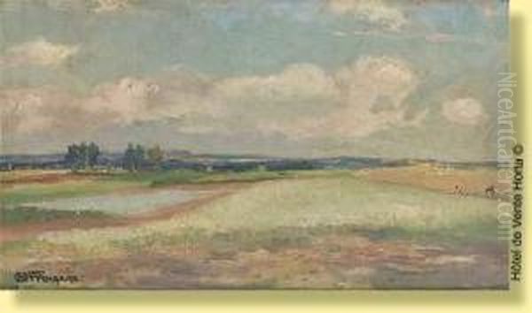 Campagne Ensoleillee Oil Painting by Henri Ottevaere