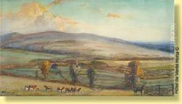 Vue Du Pays De Galle Oil Painting by Henri Ottevaere