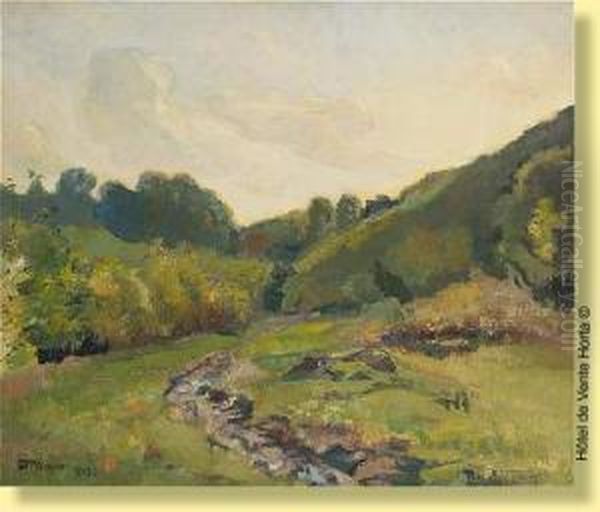 Le Vallon Oil Painting by Henri Ottevaere