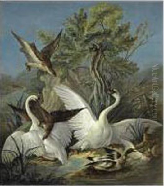 Cygnes Et Canards Attaques Par Des Aigles Oil Painting by Jacques Charles Oudry