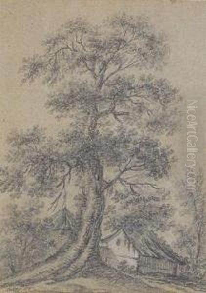 Arbre Et D'une Ferme Oil Painting by Jacques Charles Oudry