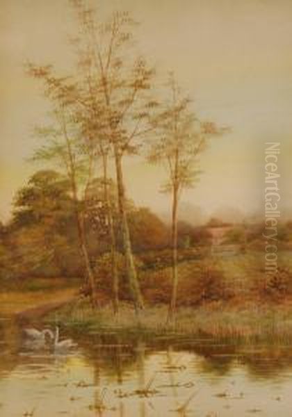 Rural Pond With Swans Oil Painting by George Oyston