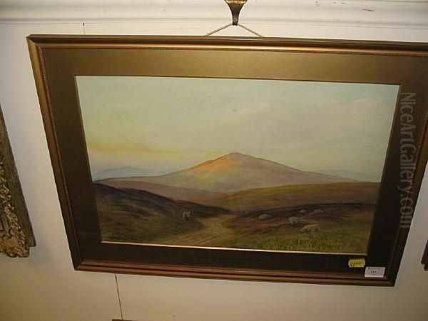 Dartmoor, Near Okehampton Oil Painting by George Oyston