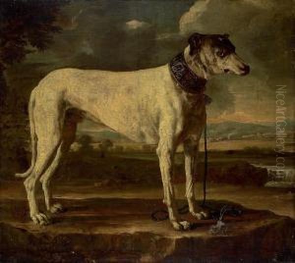 A Hound In A Landscape Oil Painting by Michele Pace Del (Michelangelo di) Campidoglio