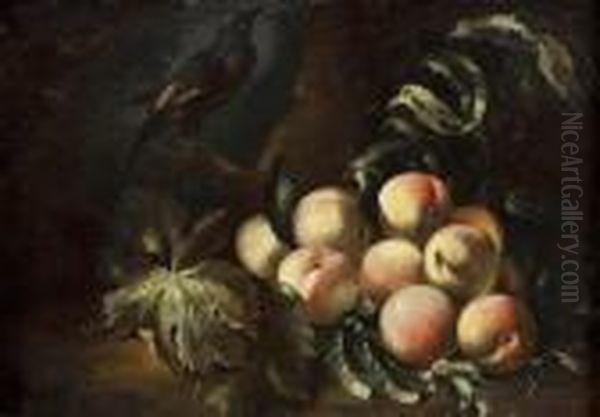 Composizione Con Pesche Ed Uccello Oil Painting by Michele Pace Del (Michelangelo di) Campidoglio