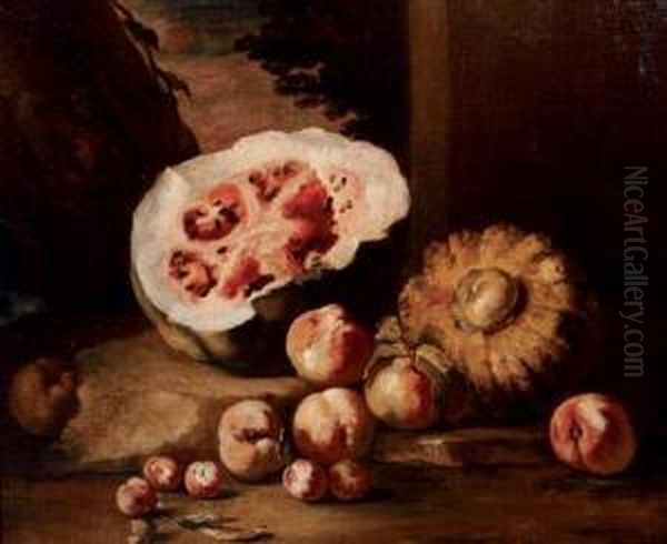 A Watermelon, Squash, Peaches And Plums On A Stone Ground Oil Painting by Michele Pace Del (Michelangelo di) Campidoglio