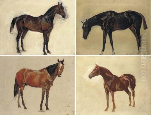 Sketch Of A Dark Bay Horse Oil Painting by James Lynwood Palmer