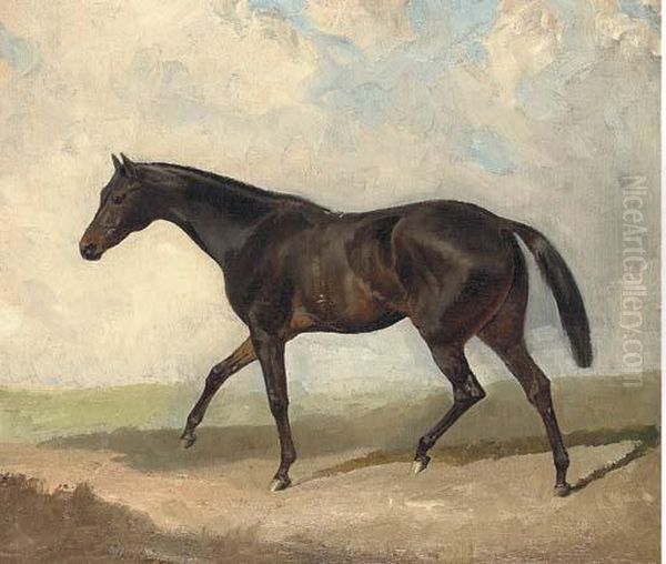 A Dark Bay Horse Trotting Oil Painting by James Lynwood Palmer