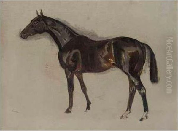 Sketch Of A Dark Brown Horse Oil Painting by James Lynwood Palmer