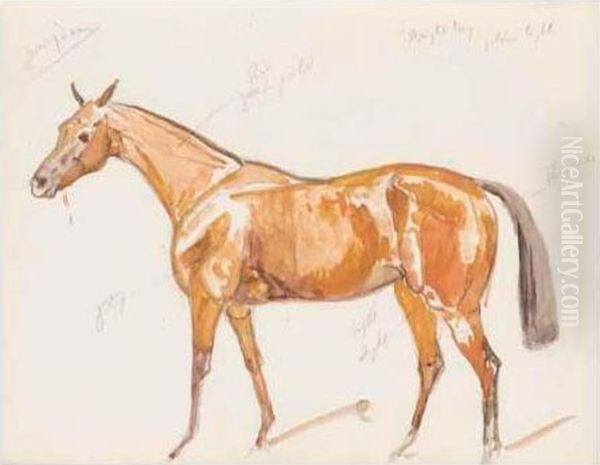 A Sketchbook Of Studies Of Horses Oil Painting by James Lynwood Palmer