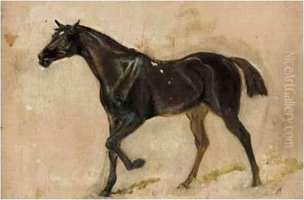 Three Sketches Of Horses Oil Painting by James Lynwood Palmer