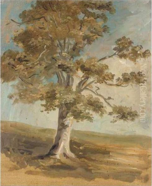 Five Landscape Studies Oil Painting by James Lynwood Palmer