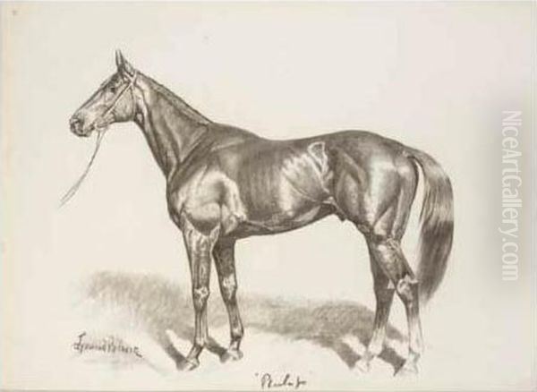 Phar Lap Oil Painting by James Lynwood Palmer