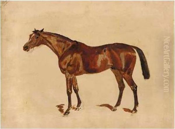 Sketch Of A Bay Horse Oil Painting by James Lynwood Palmer