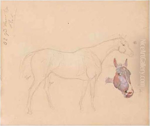 A Sketchbook Of Studies Of Horses Oil Painting by James Lynwood Palmer