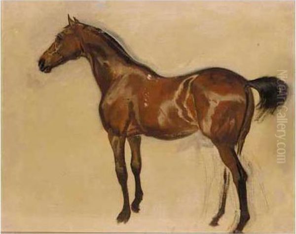 Sketch Of A Brown Horse Oil Painting by James Lynwood Palmer