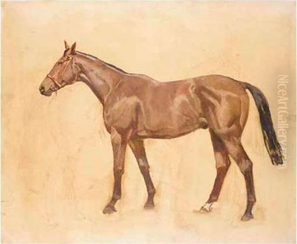 Sketch Of 'kellsboro' Jack Oil Painting by James Lynwood Palmer