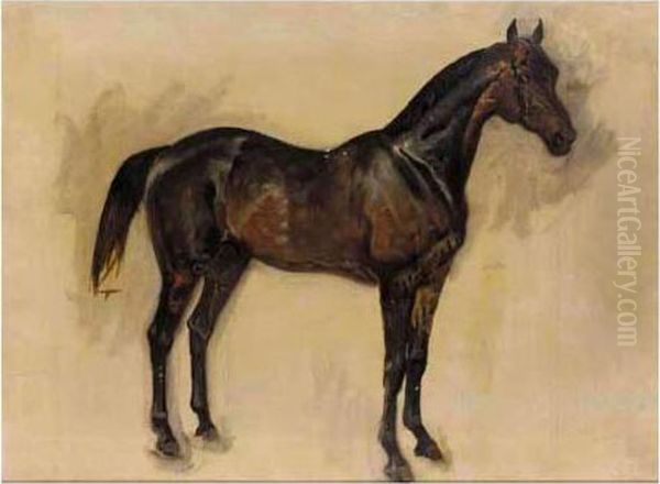 Sketch Of A Dark Brown Horse Oil Painting by James Lynwood Palmer