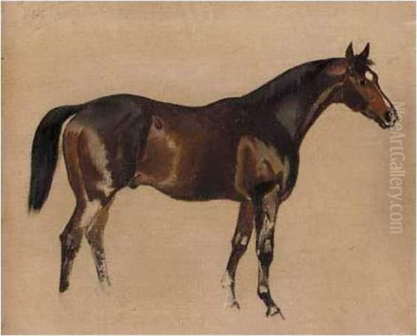 Three Sketches Of Horses by James Lynwood Palmer