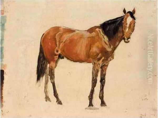 Three Sketches Of Horses Oil Painting by James Lynwood Palmer