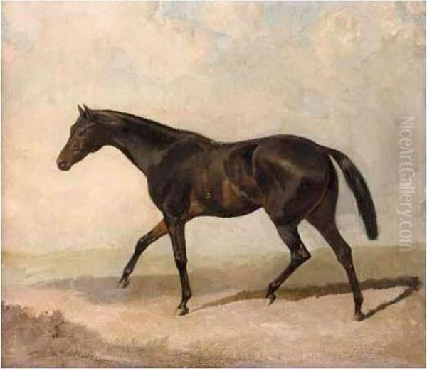 Black Horse Trotting Oil Painting by James Lynwood Palmer