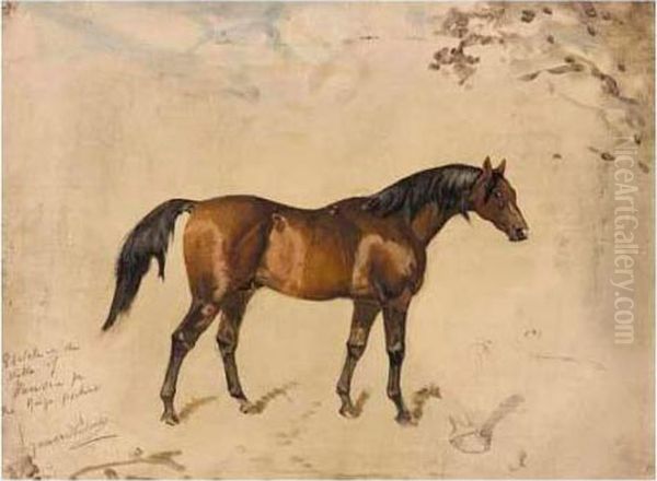 Sketch In The Stable Of Minoru Oil Painting by James Lynwood Palmer