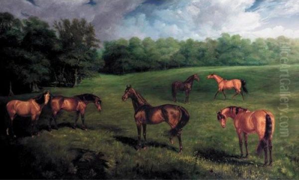 The Duke Of Portland's Stallions At Welbeck Stud Oil Painting by James Lynwood Palmer