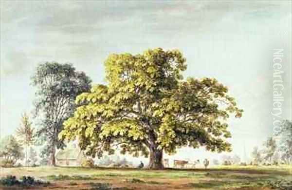 A Walnut Tree at Denton near Grantham Oil Painting by Anthony Devis