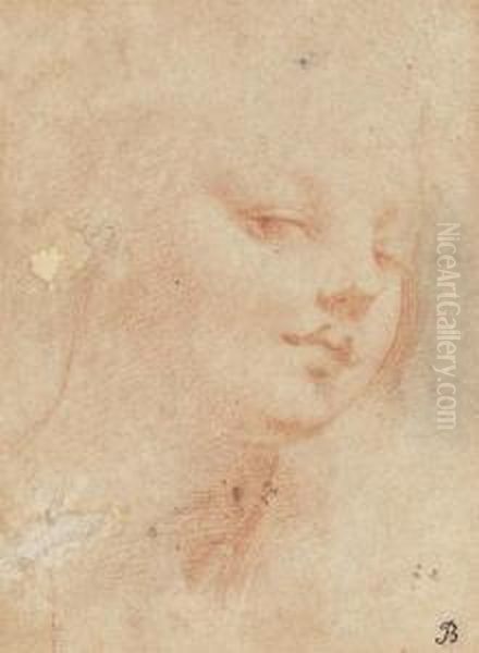 The Head Of A Young Woman Oil Painting by Michele Da Parma (see Rocca)