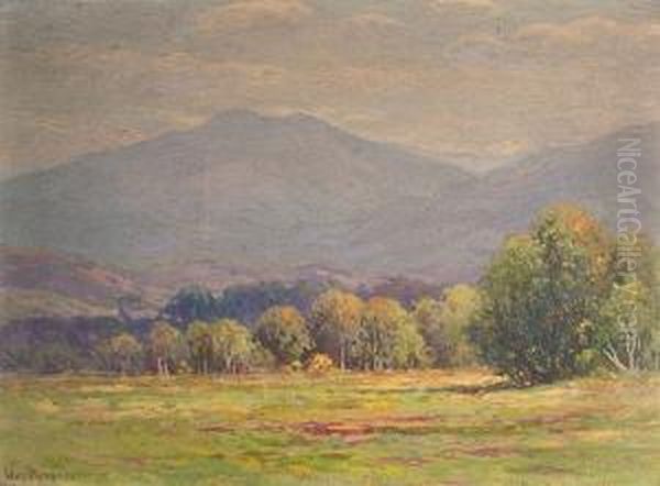 Ossipee Mountain Meadow by William Frederick Paskell