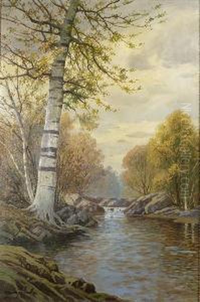 Ariverscape With Tall Birch Tree At Left. by William Frederick Paskell