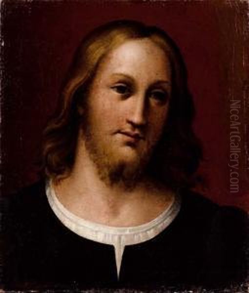 Testa Di Giovane Uomo Oil Painting by Bartolomeo Passarotti