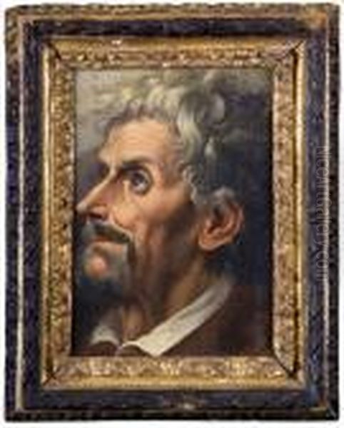 Profilo Di Uomo Oil Painting by Bartolomeo Passarotti