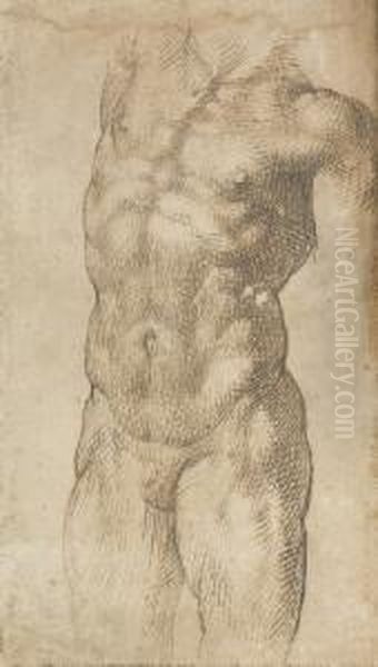 A Nude Male Torso Oil Painting by Bartolomeo Passarotti