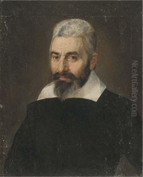 Portrait Of A Gentleman Oil Painting by Bartolomeo Passarotti