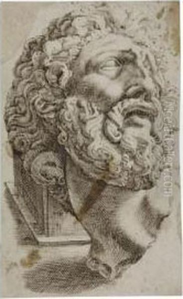 Study Of The Head Of Laocoon Oil Painting by Bartolomeo Passarotti