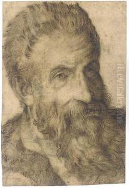 Portrait Of A Bearded Man Looking To The Right, Said To Bepellegrino Tibaldi Oil Painting by Bartolomeo Passarotti