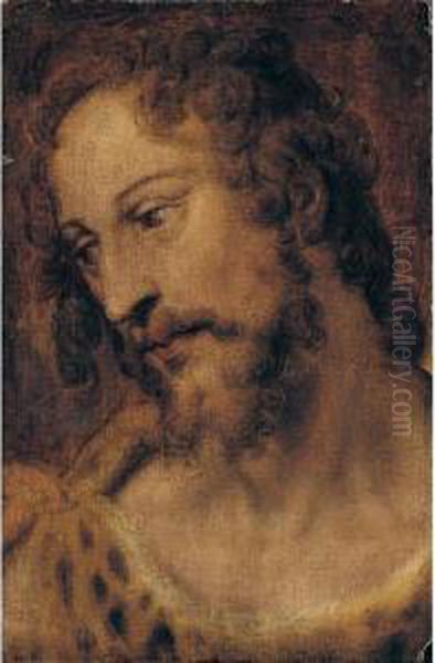 A Study Of Saint John The Baptist, Bust Length Oil Painting by Bartolomeo Passarotti