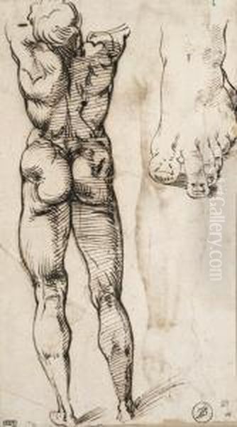 A Nude Seen From Behind And A 
Study Of A Foot (recto); Two Studiesof Arms And A Head (verso) Oil Painting by Bartolomeo Passarotti