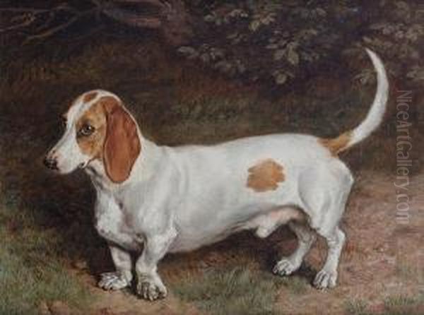 Portrait Of A Basset Hound Oil Painting by Frank Paton