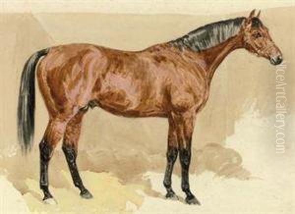 A Bay Stallion Oil Painting by Frank Paton