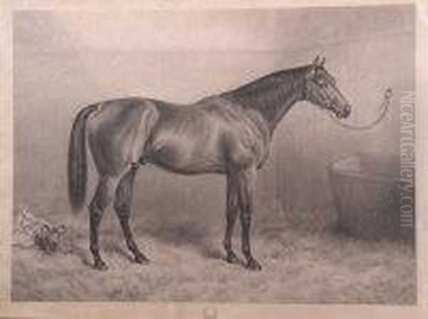 Portrait Of A Racehorse In A Stable Oil Painting by Frank Paton