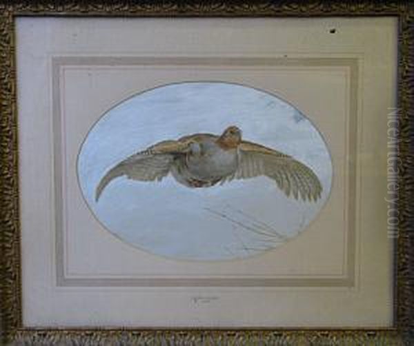 Partridge In Flight Oil Painting by Frank Paton