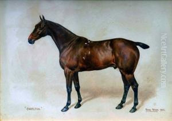 Study Of The Horse - Charlton Oil Painting by Frank Paton