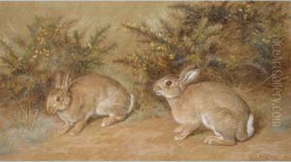 Two Rabbits by Frank Paton