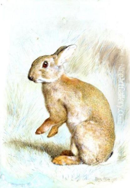 Study Of A Rabbit Oil Painting by Frank Paton