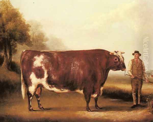 A Dark Roan Bull Oil Painting by William Davis