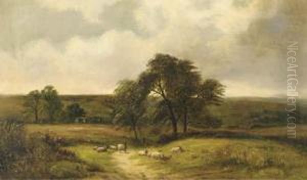 Summer Landscape With Sheep Oil Painting by David Payne