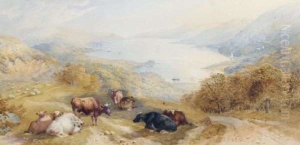 Cattle Resting Above Coniston Lake Oil Painting by Cornelius Pearson